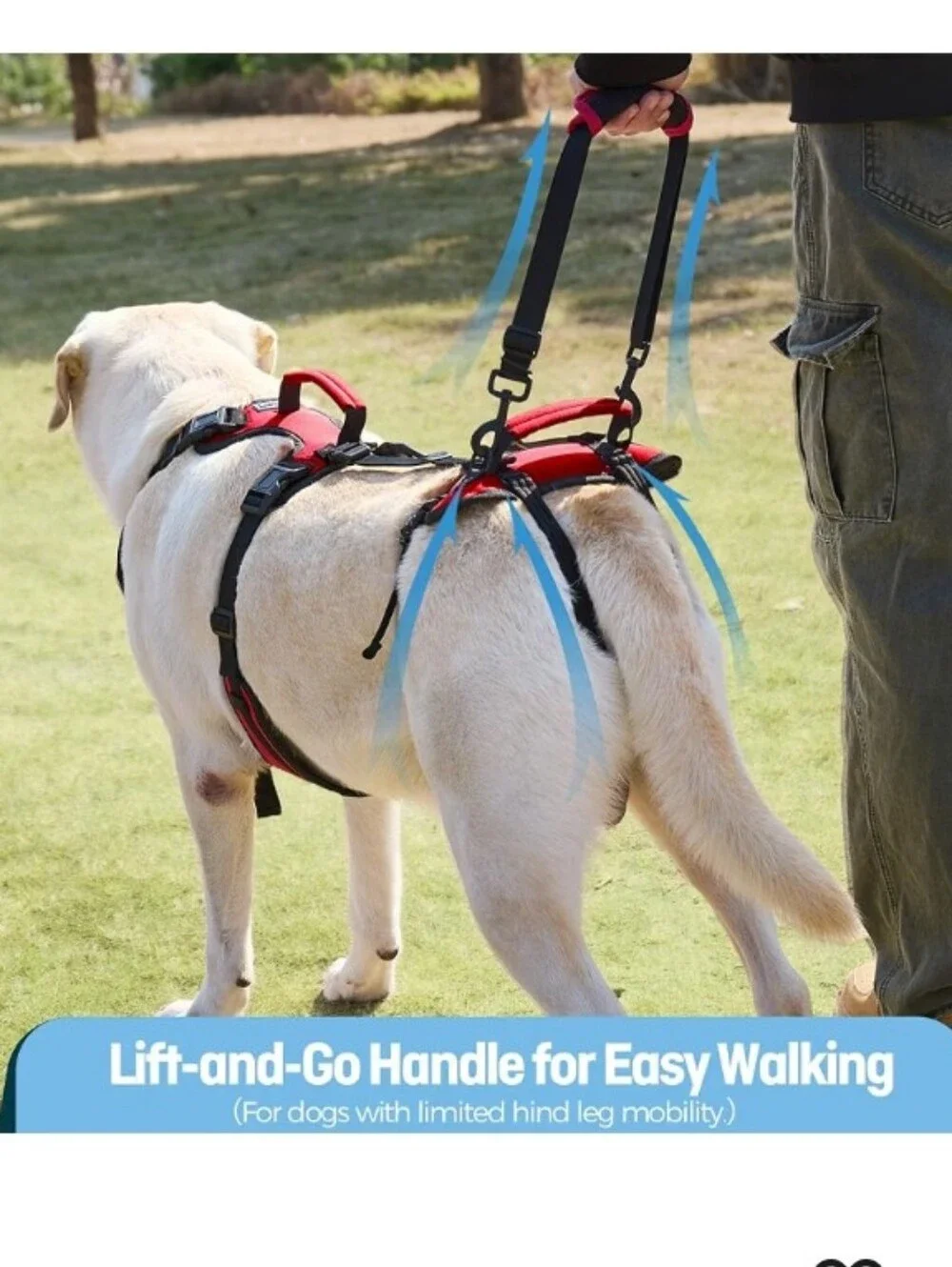 Dog Lift Harness for Extra Large Dogs, Heavy Dog Lifting Support Harness Size:XL